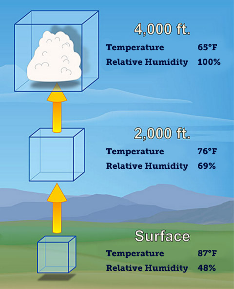 chart-humidity-and-weather.jpg